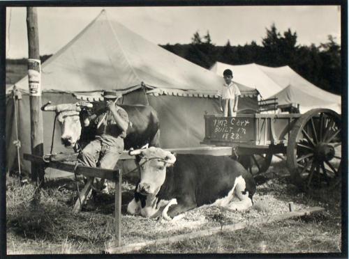 Untitled from the "County Fairs" series