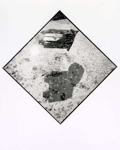 Palm Frond in Pool, SM (possibly San Miguel)