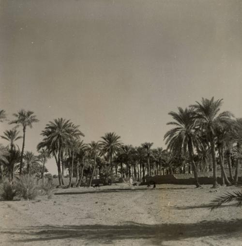 El Golea Village, Algeria