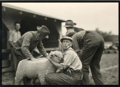 Untitled from the "County Fairs" series