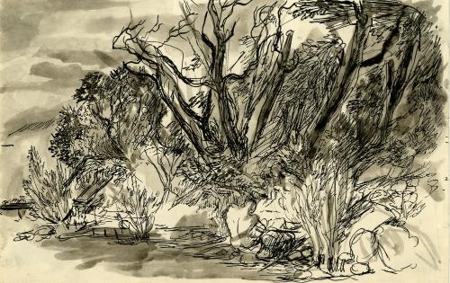 Untitled [sketch of trees]