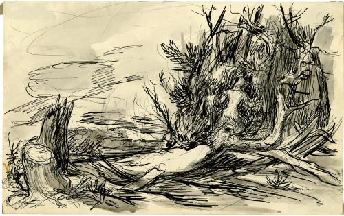 Untitled [figure and fallen tree]