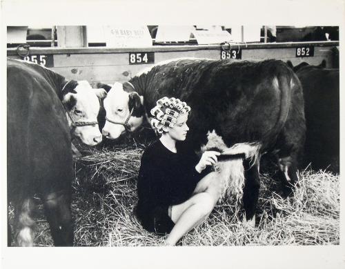 4-H Fair, Iowa