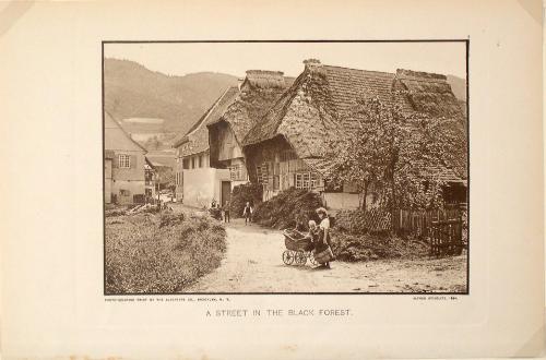 A Street in the Black Forest