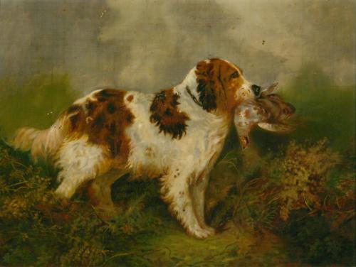 George Armfield
