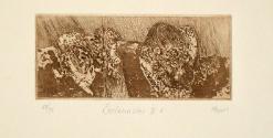 Ecclesiastes II:5, from the series "Etchings from Ecclesiastes"