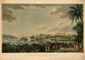 N.E. view of Fort Louis in the Island of Martinique