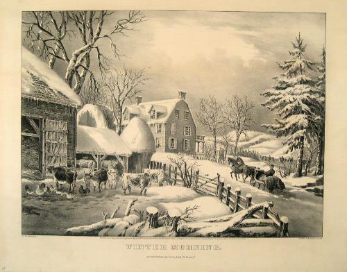 Winter Morning
