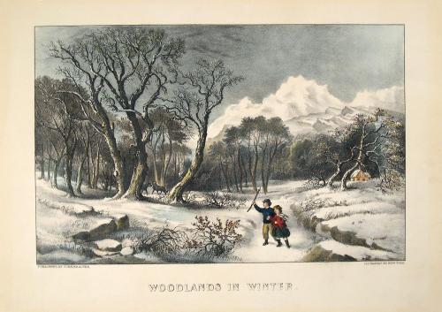 Woodlands in Winter