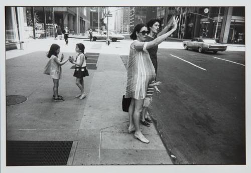 Photograph by John Bentham.
