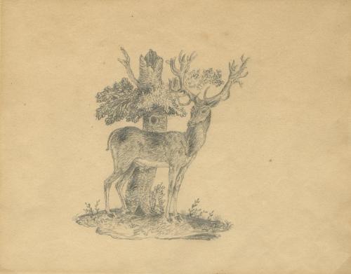 Deer and Tree