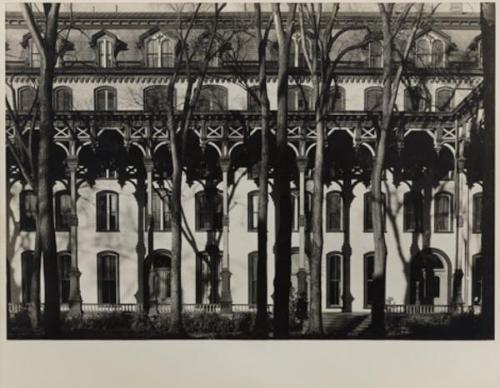 Photograph by John Bentham.