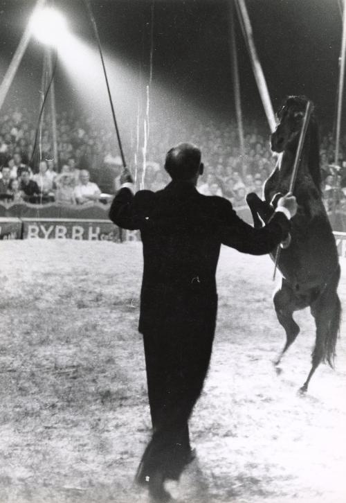 Traveling Circus Workers, Marseille, France