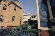 Providence (distorted view of mustard and dark blue clapboard houses, chain link and picket fence, shrubs)