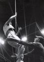 Harold Alzana Being Received by Assistant, Ringling Brothers Circus