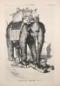 "The Elephant Walks Around" and the "Still Hunt" is Nearly Over, from "Harper's Weekly"