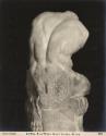 Roma - Museo Vaticano - Torso di Belvedere - dal dorso