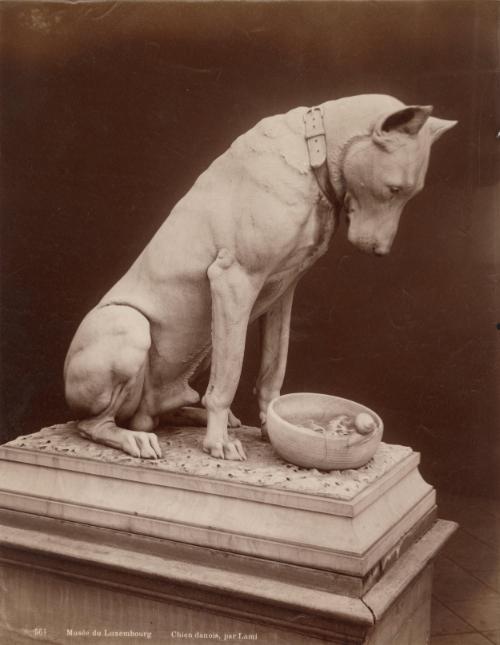 Musée du Luxembourg Chien danois