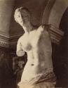 Louvre. Buste de la Vénus de Milo