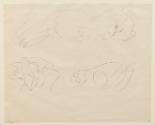 Untitled (Animal Sketches)