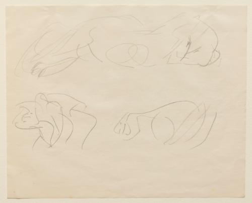 Untitled (Animal Sketches)