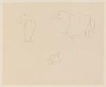 Untitled (Animal Sketches)