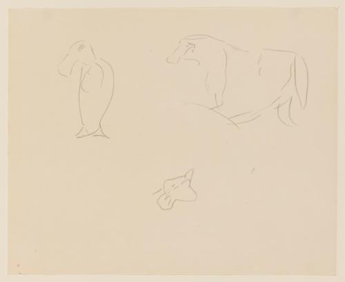 Untitled (Animal Sketches)