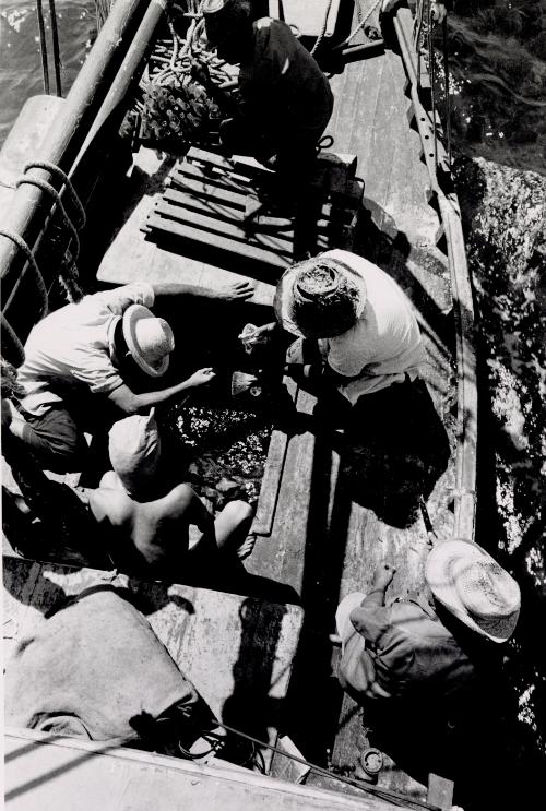 Men catching fish through opening in boat
