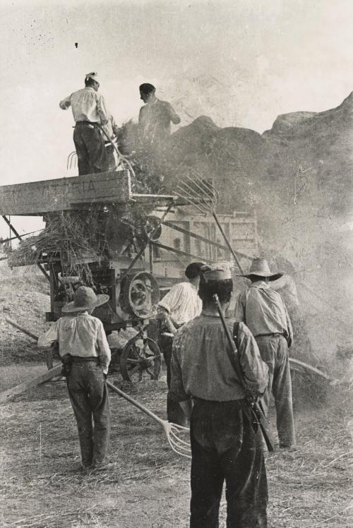 Republicans helping farmers, Vitoria, near Aragon front, Basques, Spain