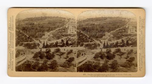 (17) Garden of Gethsemane and Mount of Olives, Palestine.