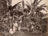 Workers on plantation, Ceylon