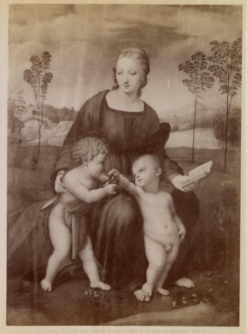 Firenze - R. Galleria Uffizi. La Madonna del Cardellino.