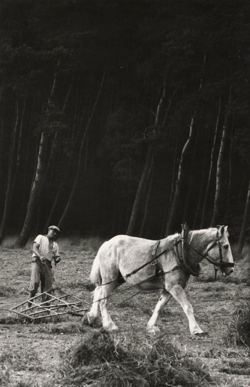 Farmer collecting hay in his fields between Marktheidenfeld and Aschaffenburg, Germany