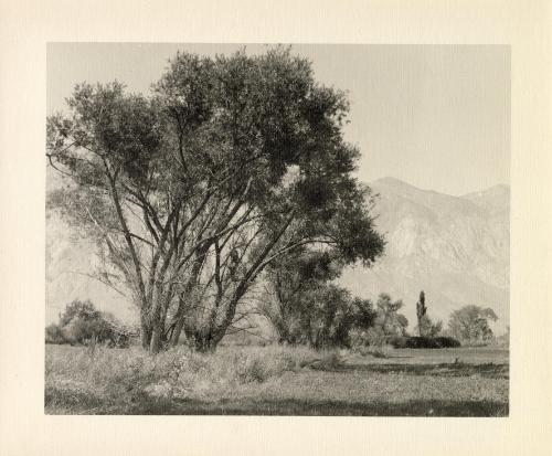 Owens Valley, California