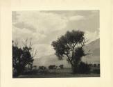 Owens Valley, California