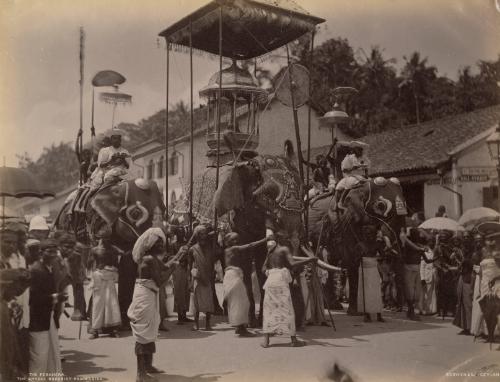 The Perahera, the annual Buddhist procession, Ceylon (recto); Men riding elephants, Ceylon (verso)