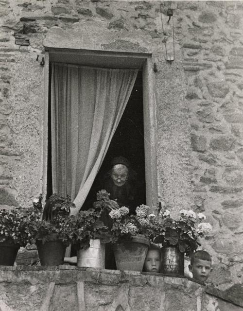 Pyreneen Peek-a-boo, Villefranche-de-Conflent, Prades, France