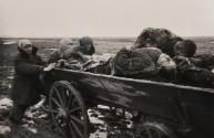 Carting the Dead, Kerch, Crimea