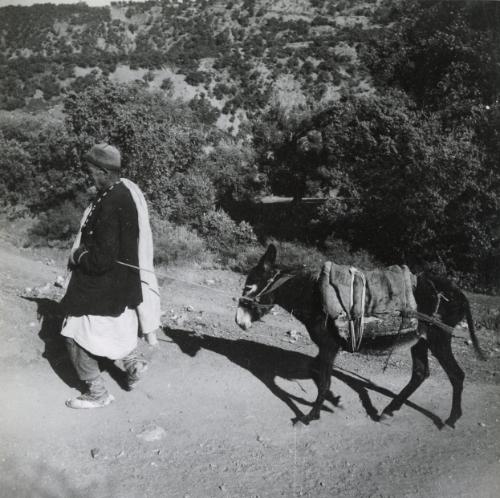 Untitled (Man with donkey), Algeria