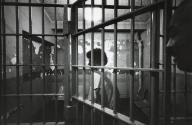 Inmate inside holding cell, 9th police precinct, NYC