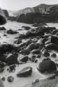 Ocean landscape with rocks covered in seaweed, Chile