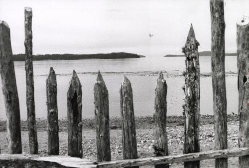 Pointed wooden fence, Chiloé Island, Chile