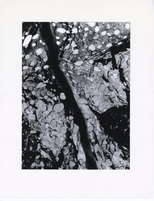 Untitled (Water on rock)