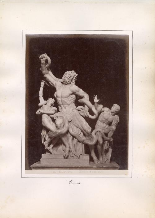 Laoconte – Museo Vaticano, Rome