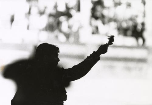 A bullfighter holding up one more ear to add to his honor roll, Spain, from the series La Corrida (The Bullfight)