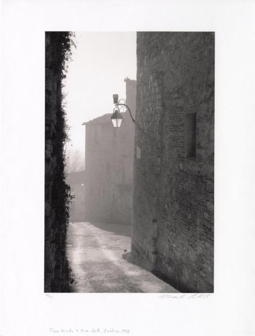 Two Birds and One Cat, Gubbio