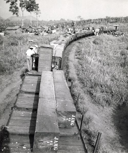 Timber train, Cameroon