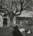 Children play with dog, Sartene, Corsica