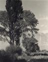 Owens Valley, California