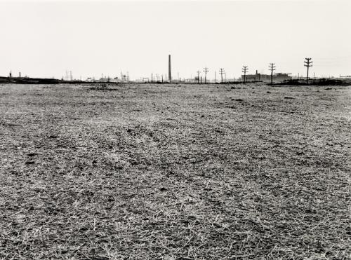 Untitled (from the Meadowland series)